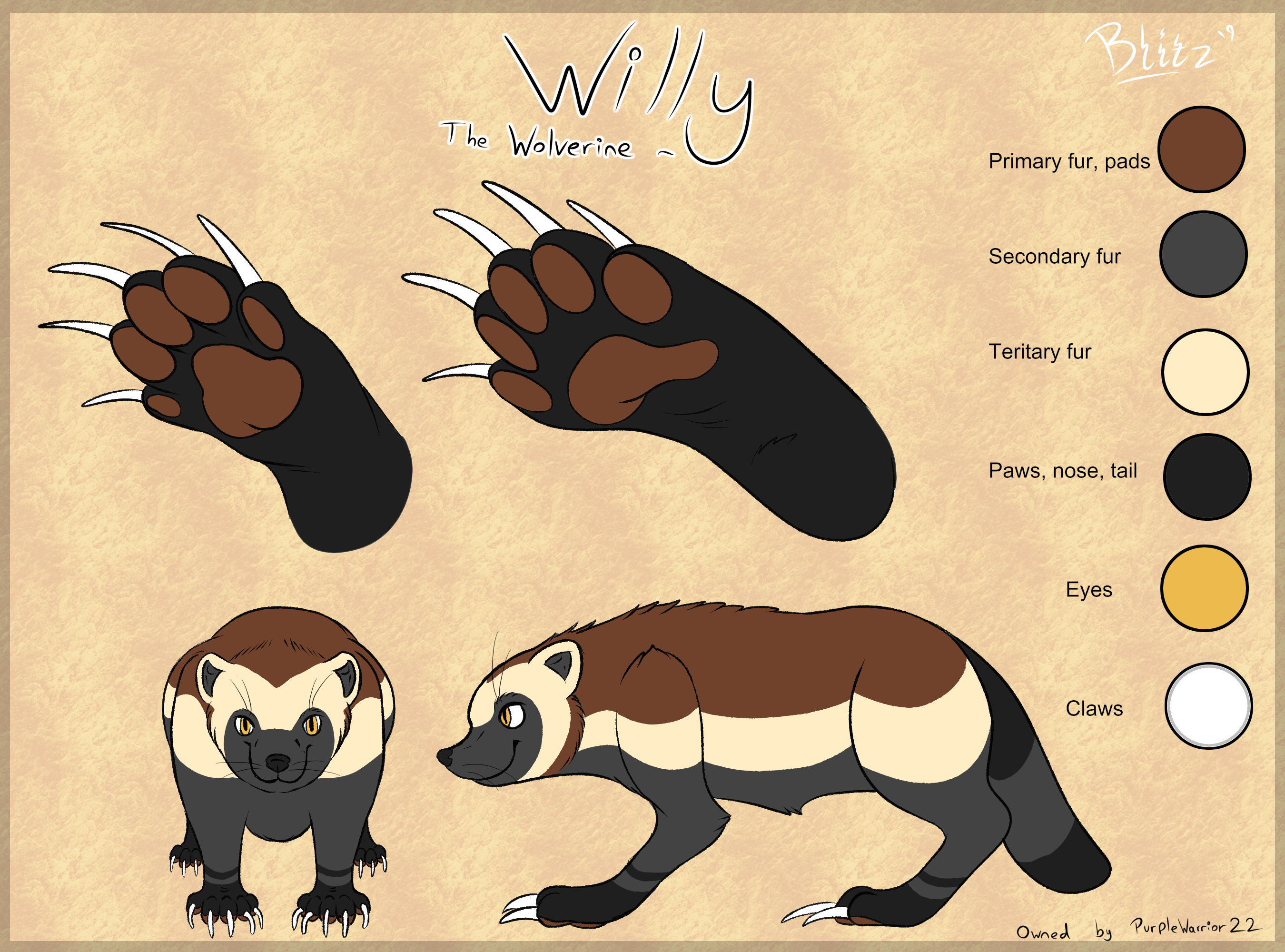 Willy banner image
