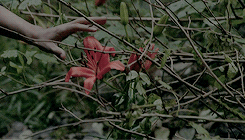 Varulve klubben banner image