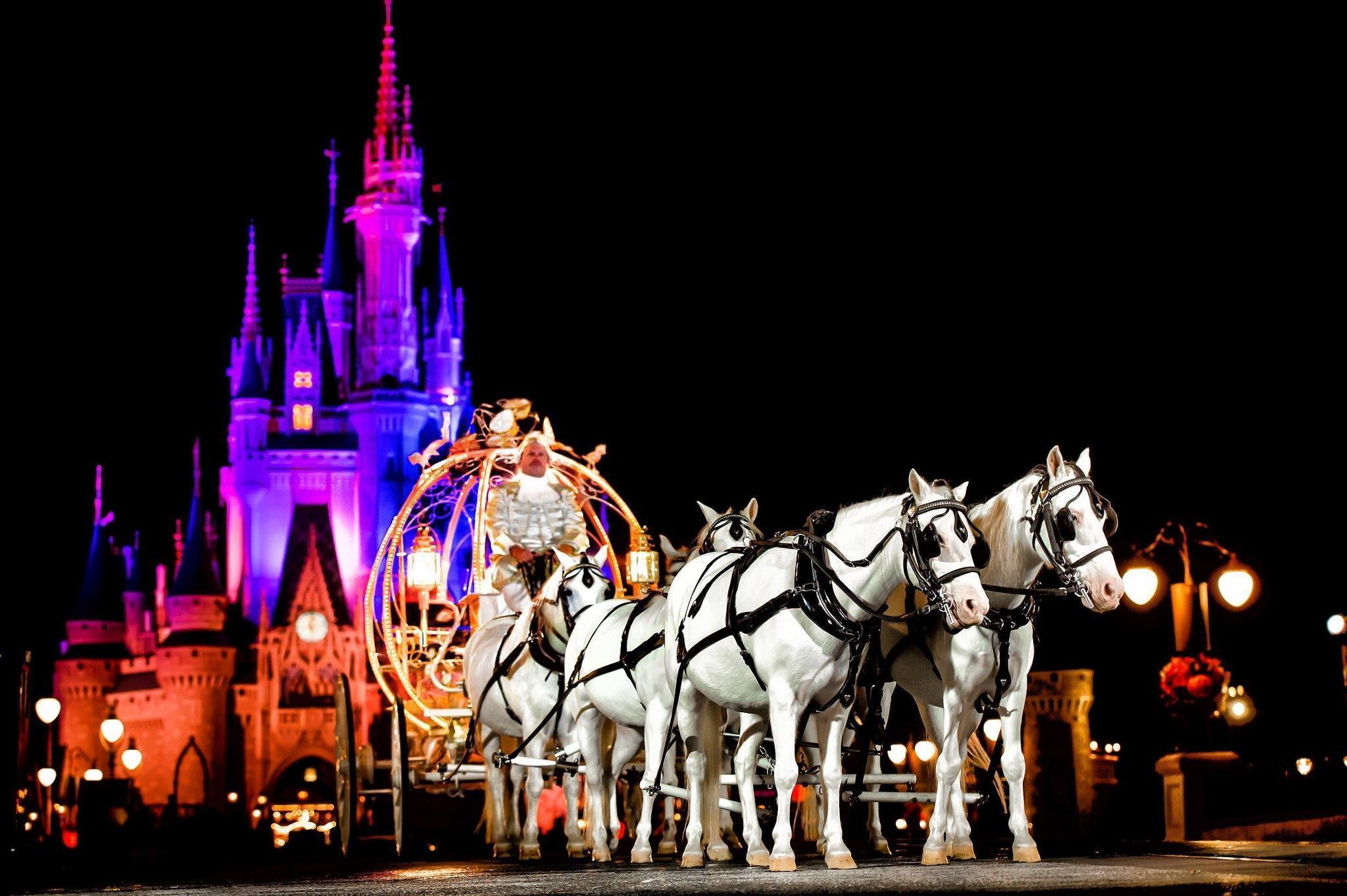 Imaginarium banner image