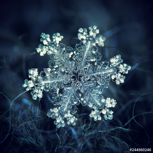 The Frost Amulet banner image