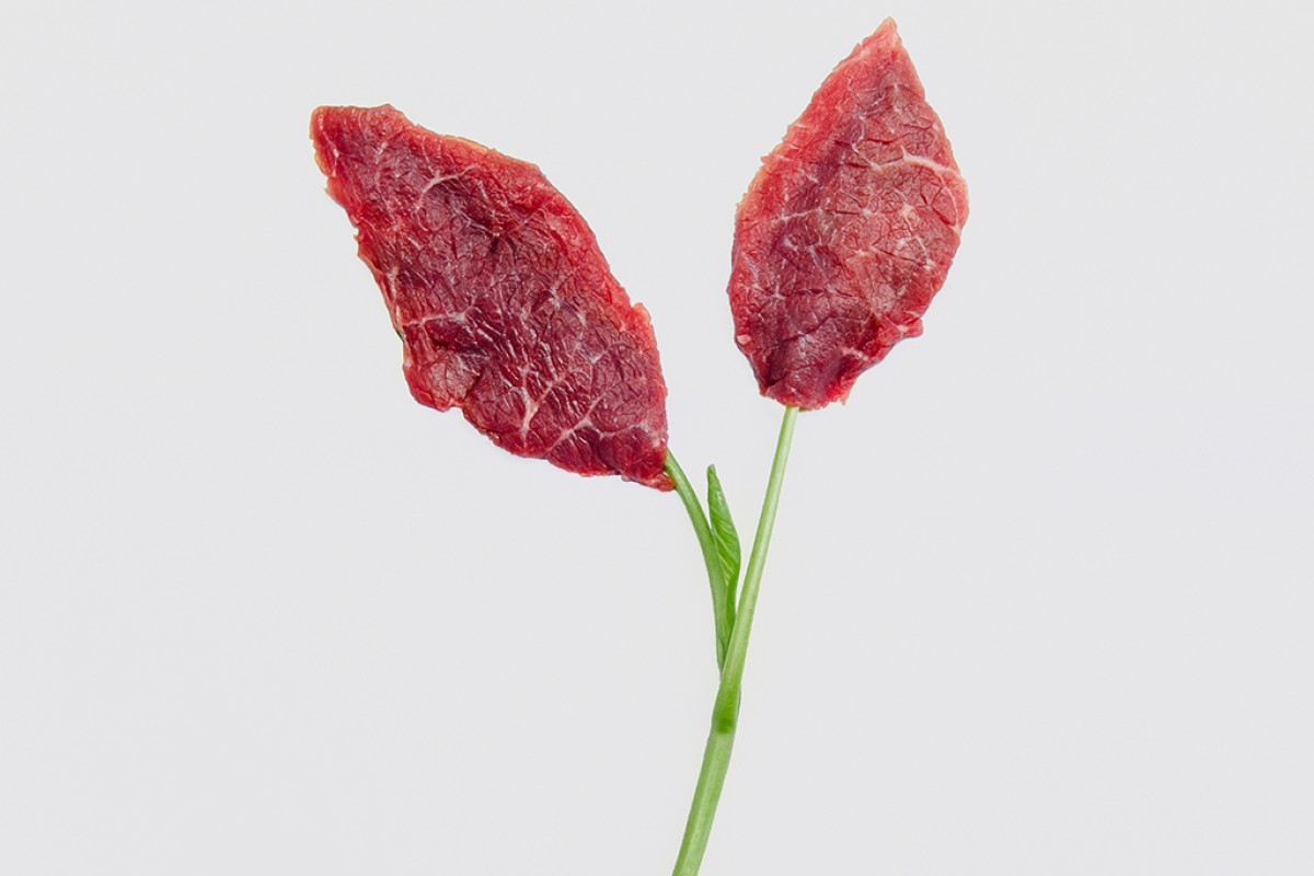Meatfruit banner image