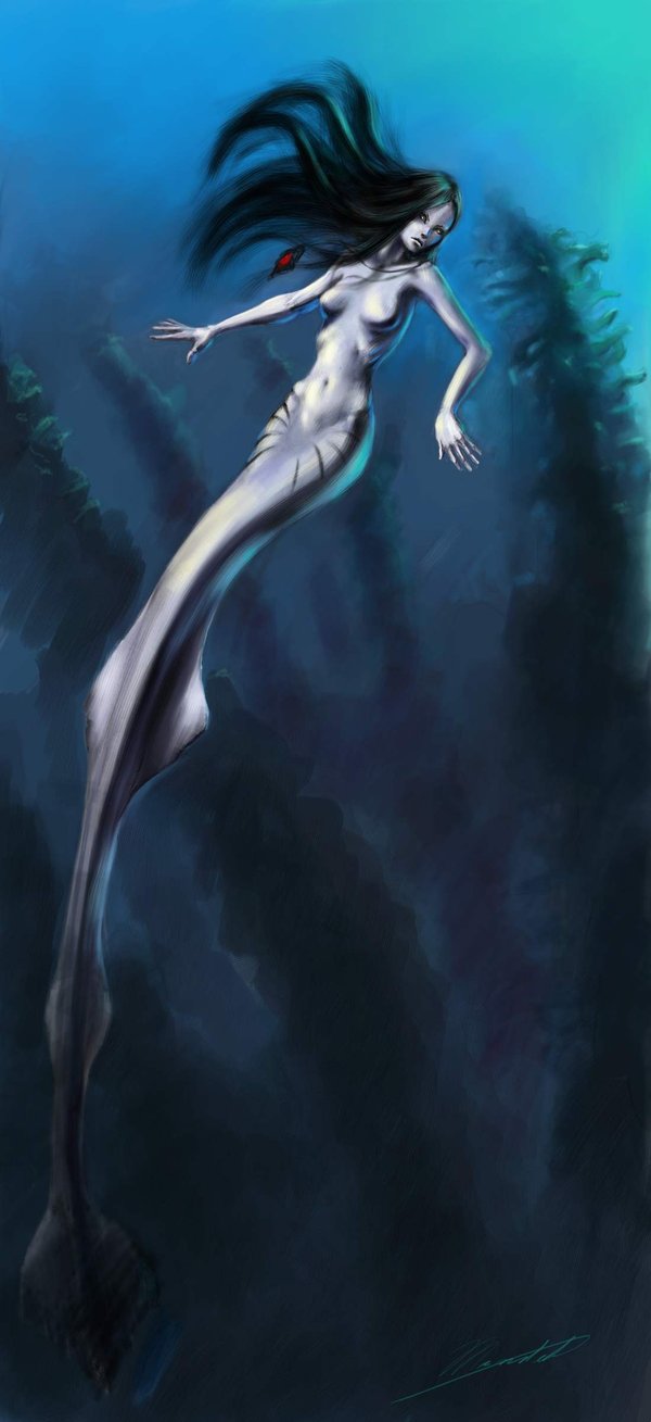 Mermaid Cove banner image