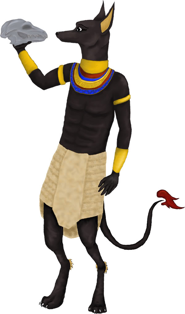 Anubi banner image
