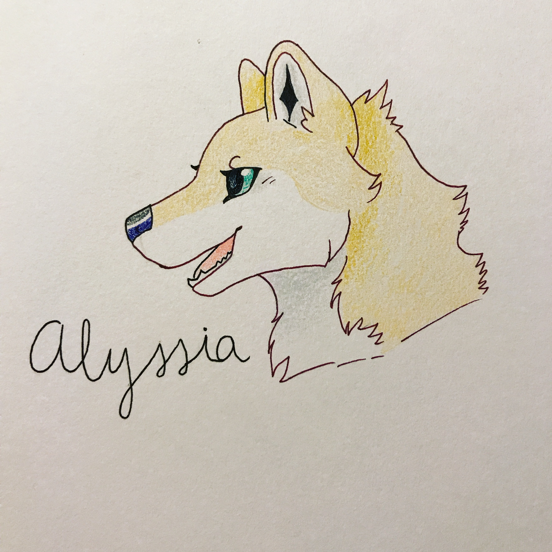 Alyssia  banner image