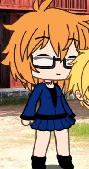 Dahlia Himawari banner image