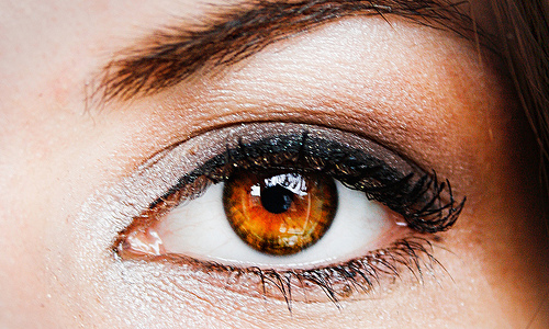 Madi  banner image