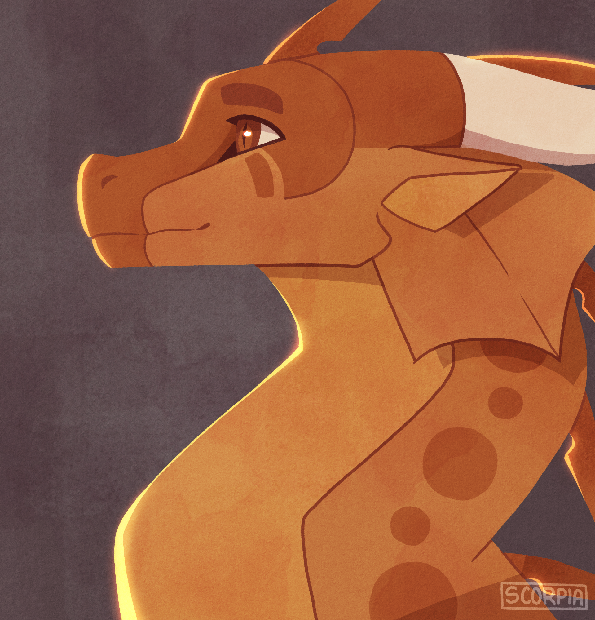 Kumquat banner image