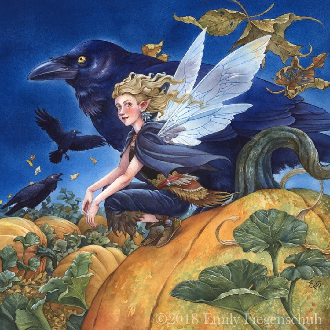 Aderyn banner image