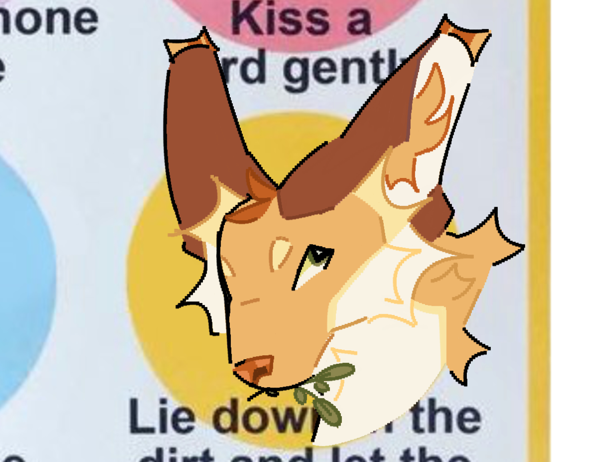 Apollo banner image