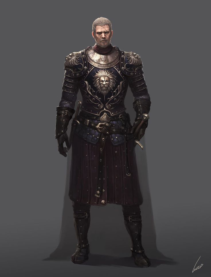 Commandant Ludwig Richter banner image