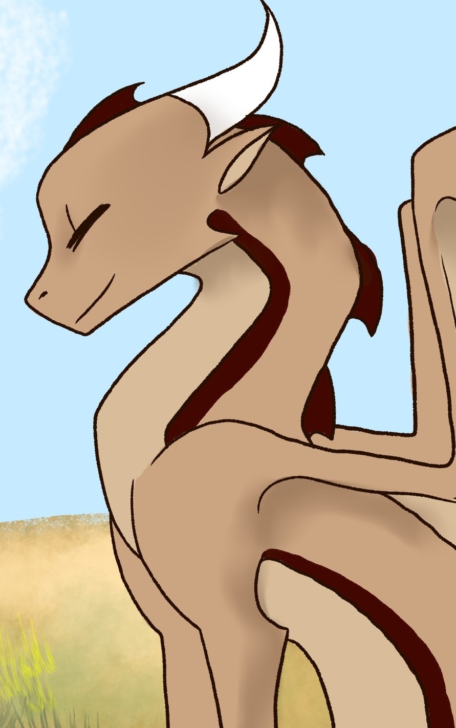Squish banner image