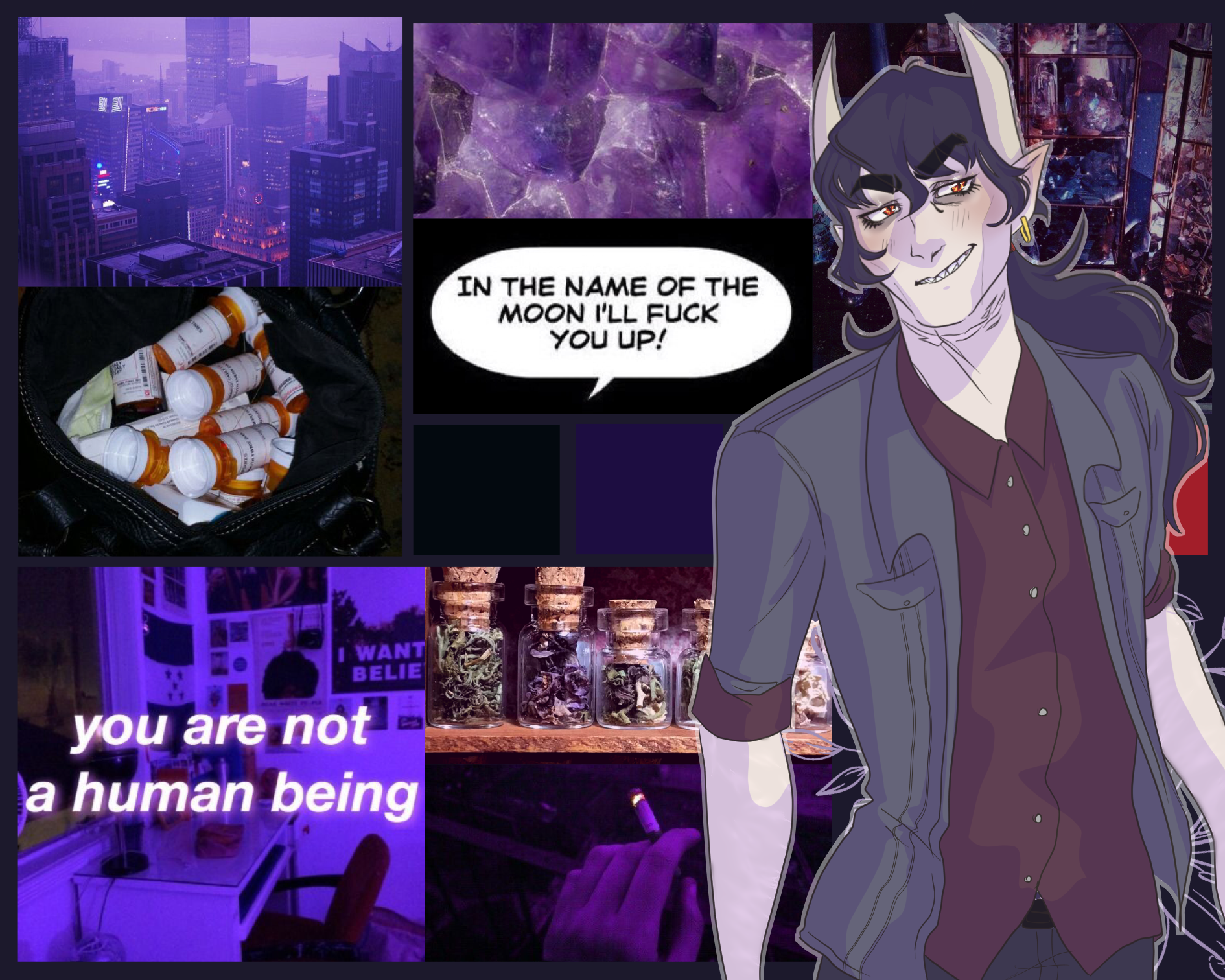 Nicholas Hayes banner image