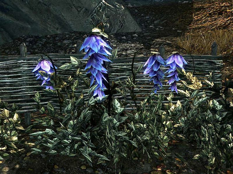 Dethbell banner image
