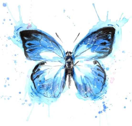 Miguel Parker  banner image