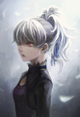 Noelle Aerofinity banner image