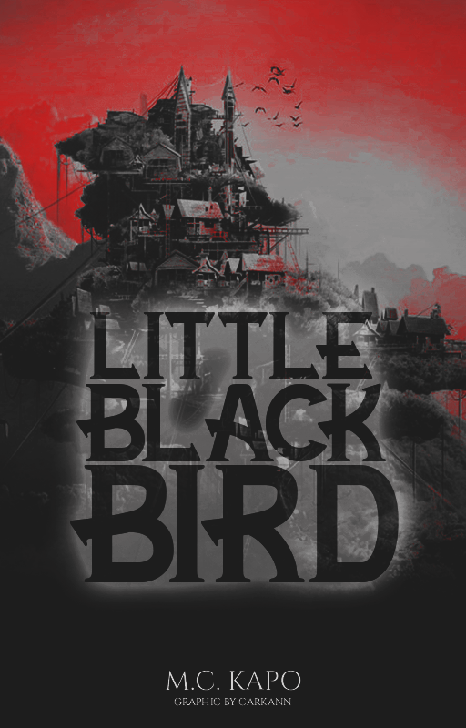 Little Black Bird banner image