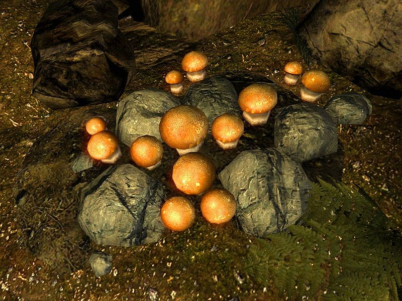 Imp Stool banner image