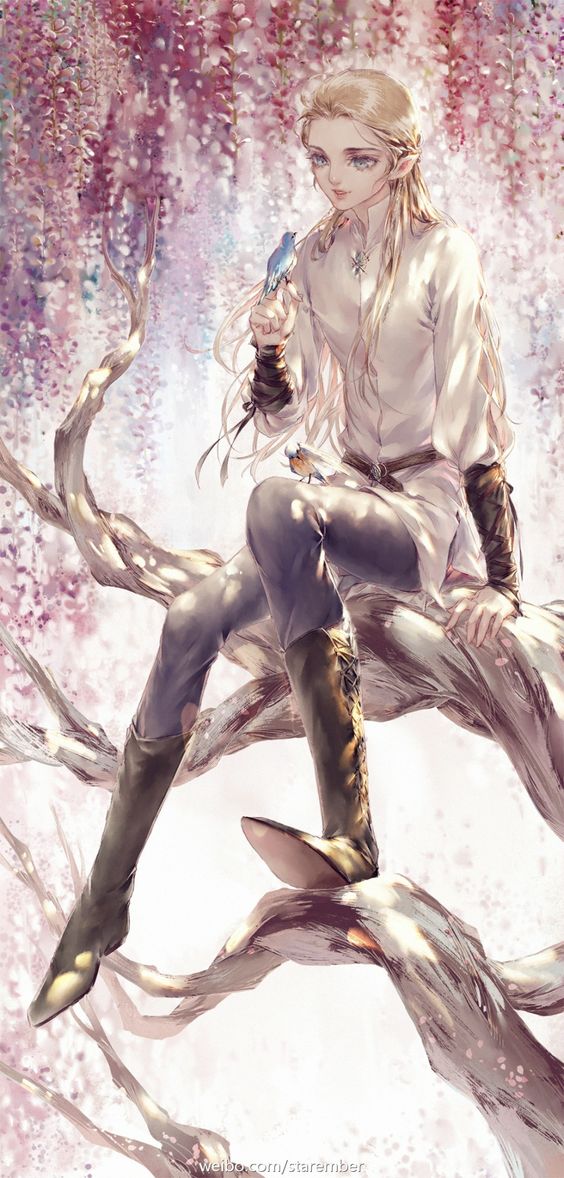 Se'etar banner image