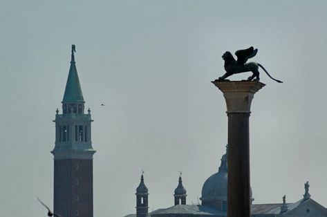 Alto Mare banner image