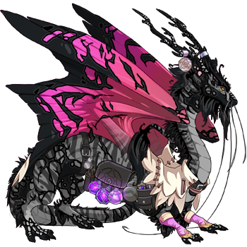 Xander banner image