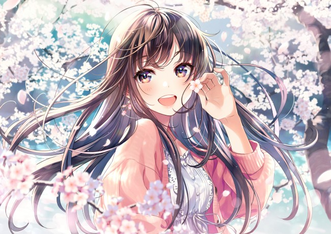 sky banner image