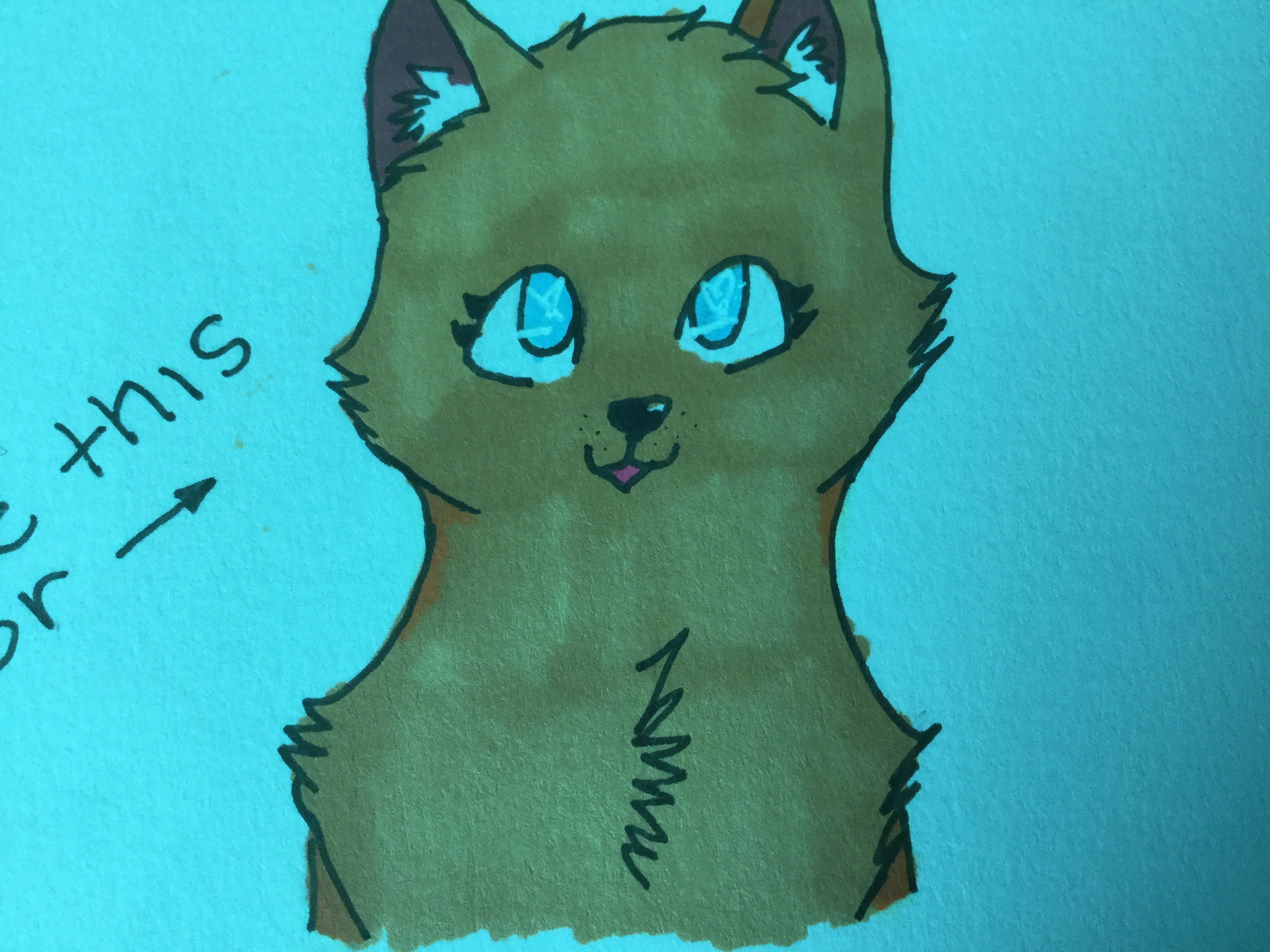 Amber banner image