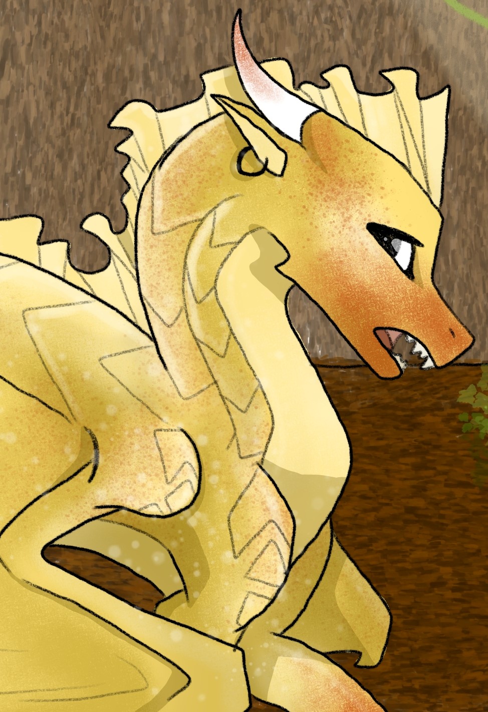 Redtail banner image