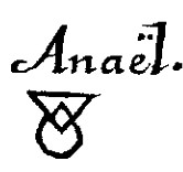 Ariel banner image
