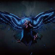 Shadow Bird banner image