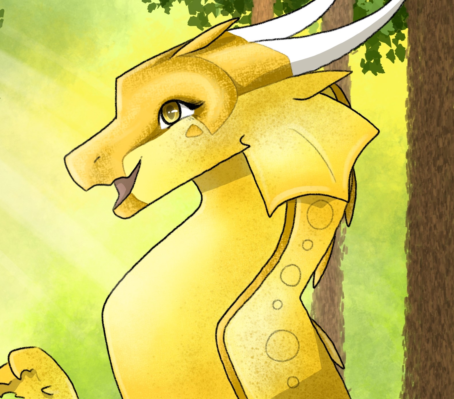 Petal banner image
