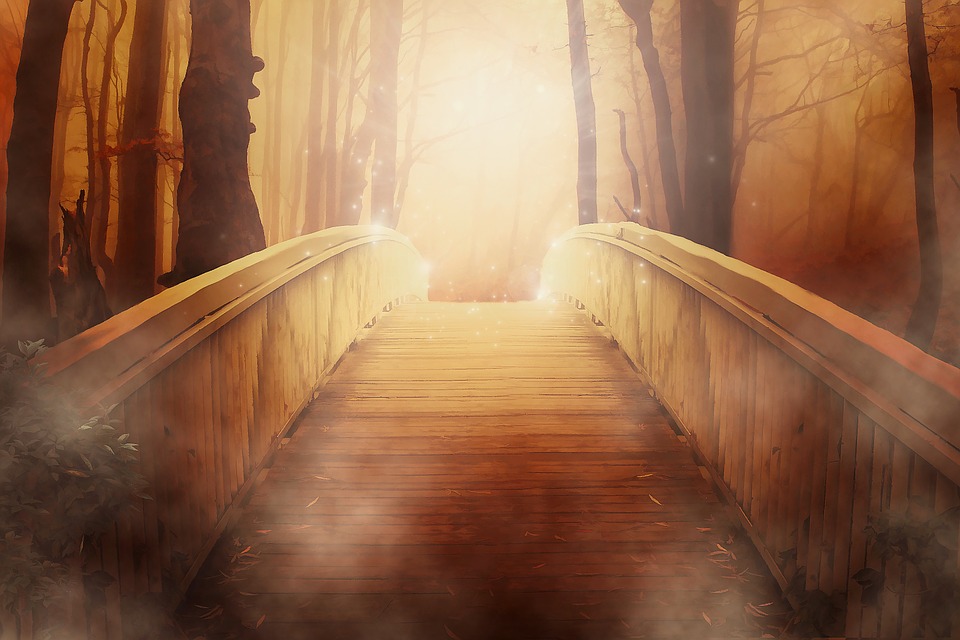 The Source of Shine banner image