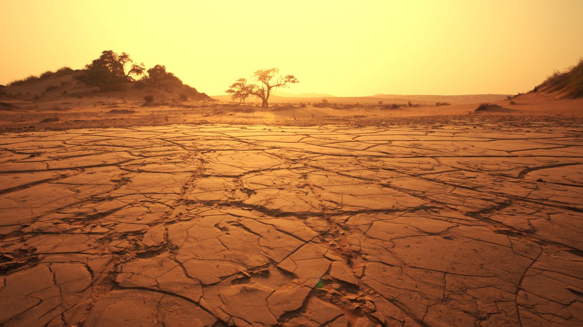 The Red Desert banner image