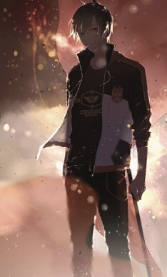 Poppy banner image