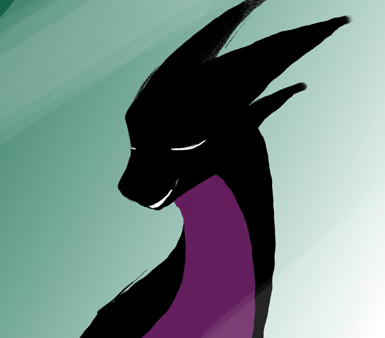 Shimmer banner image