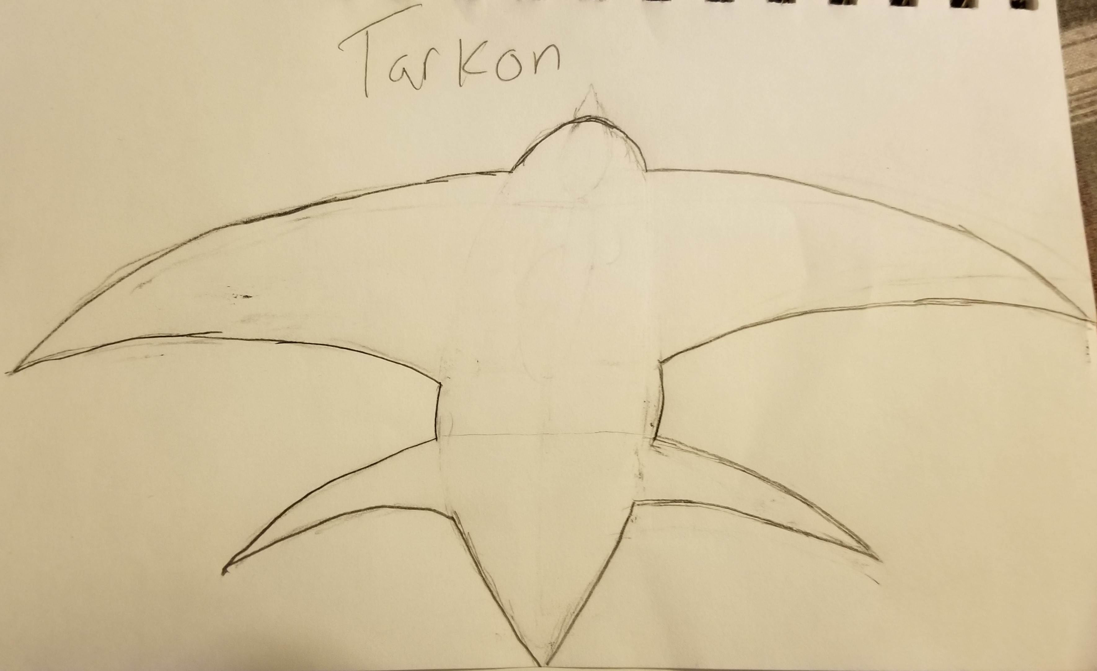 Tarkon (Tar-Khan) banner image