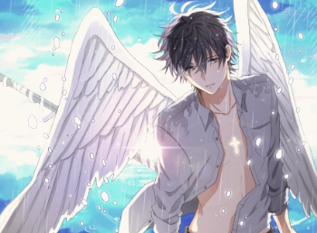 Adam Knight banner image