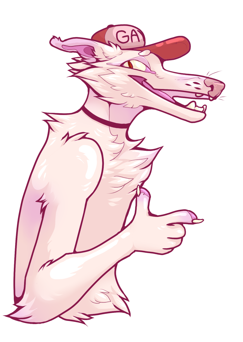 Wyn banner image