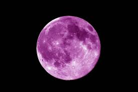 Da Moon banner image