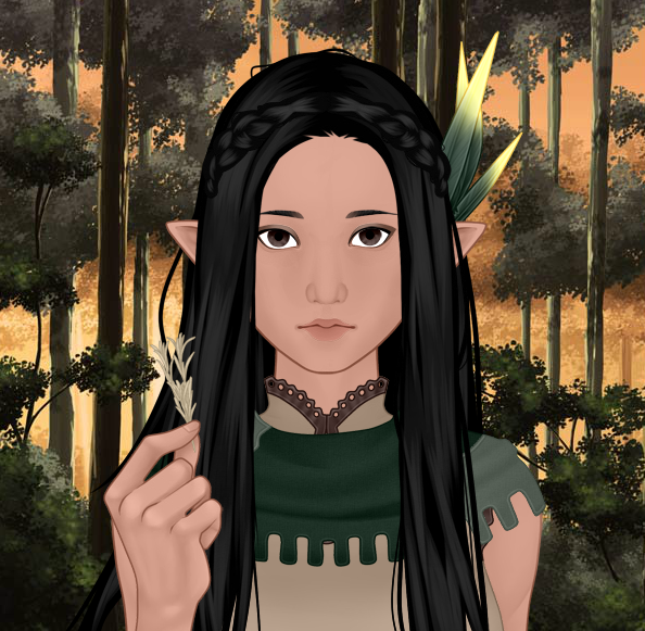 Saelsia banner image