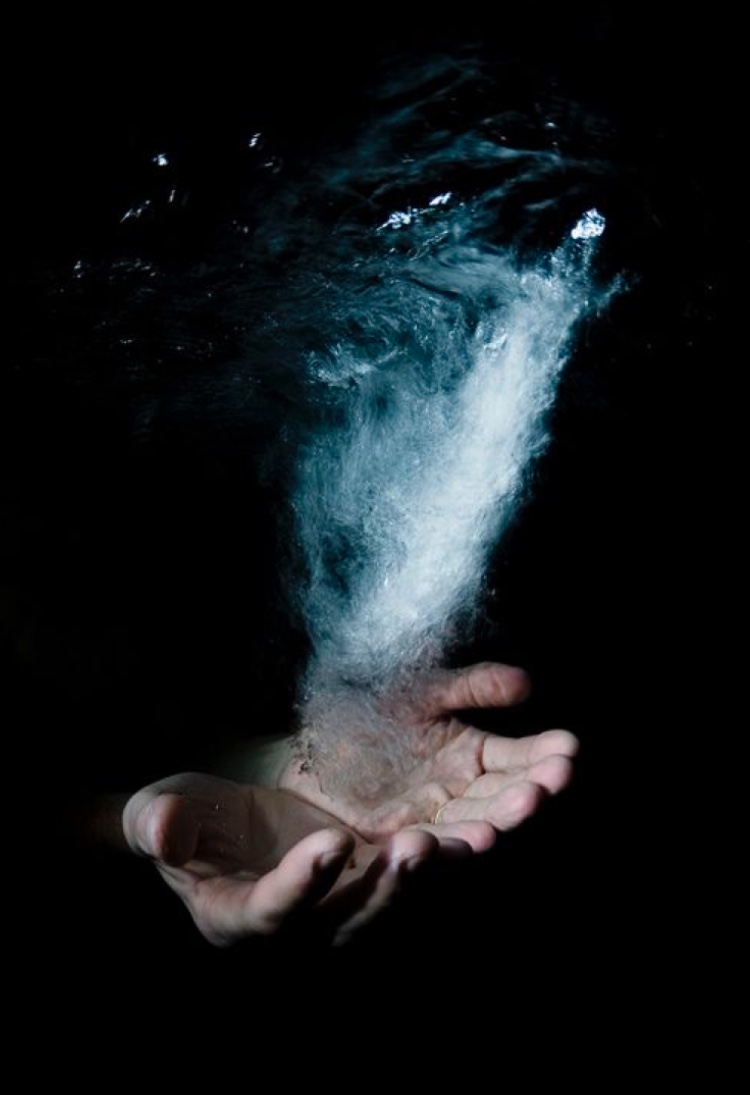 Contrahydronia banner image