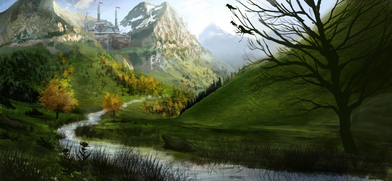 Olsen banner image