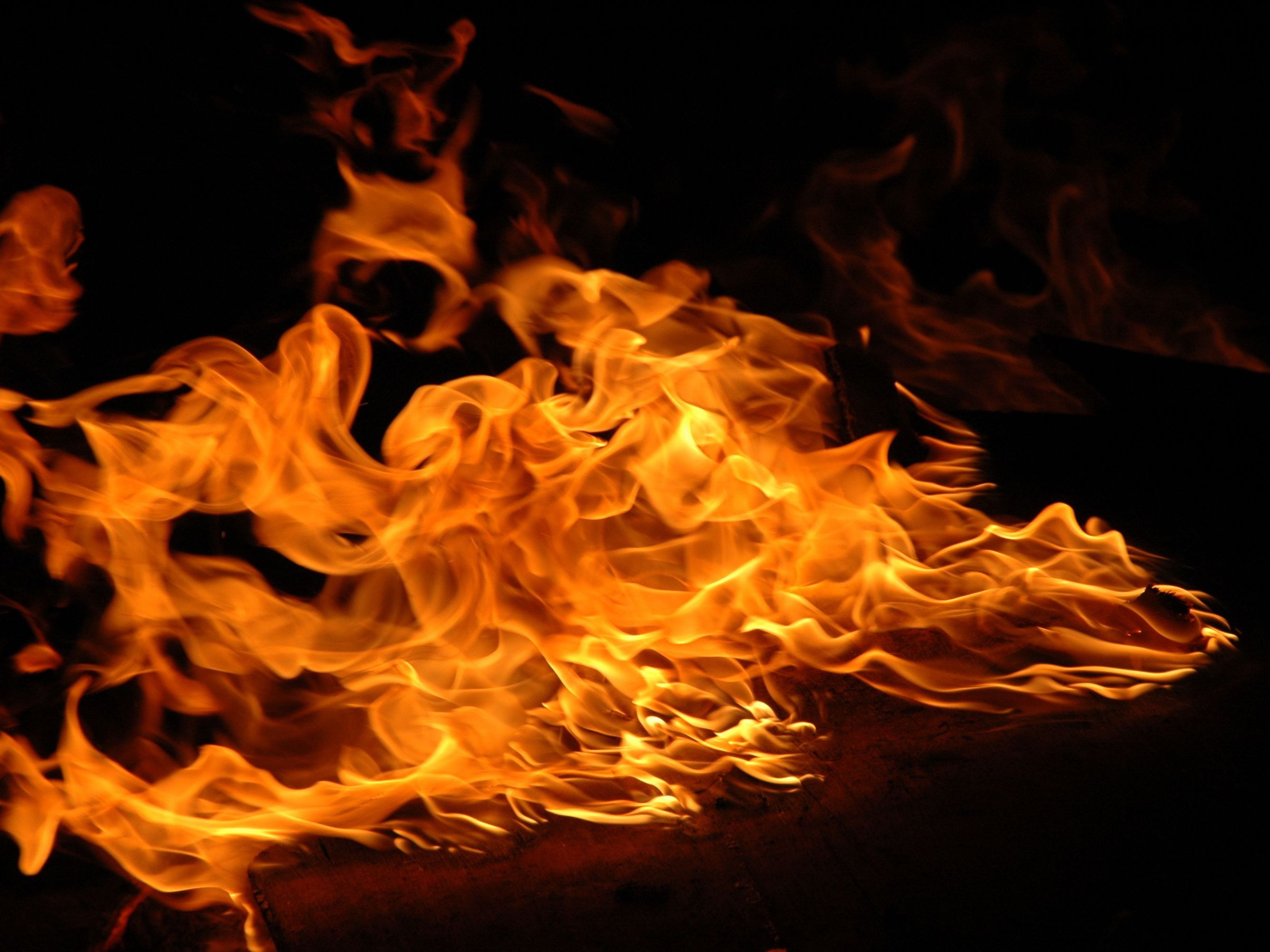 Fire Magic banner image