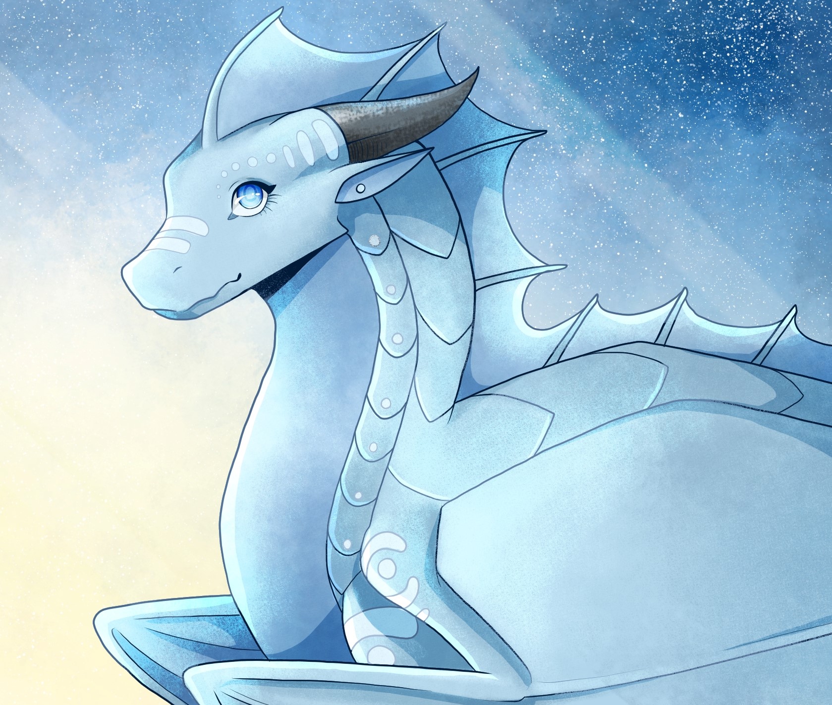 Shore banner image