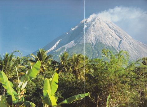 Makhalin banner image