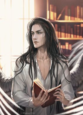 Yarev banner image