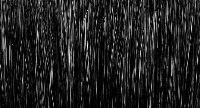 Fuzz banner image