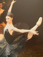 Odile Cobham banner image