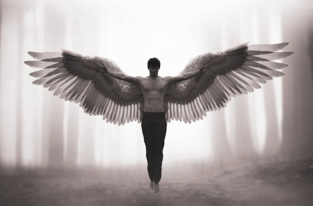 Seraph banner image