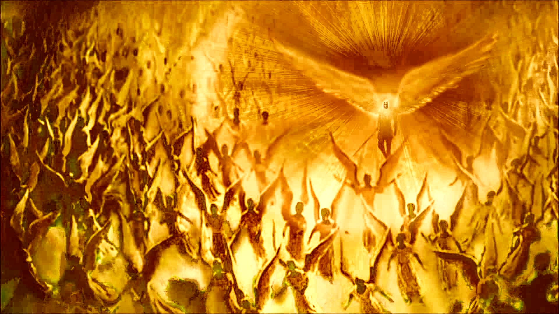 Angels banner image