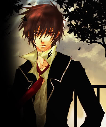 Aurel banner image